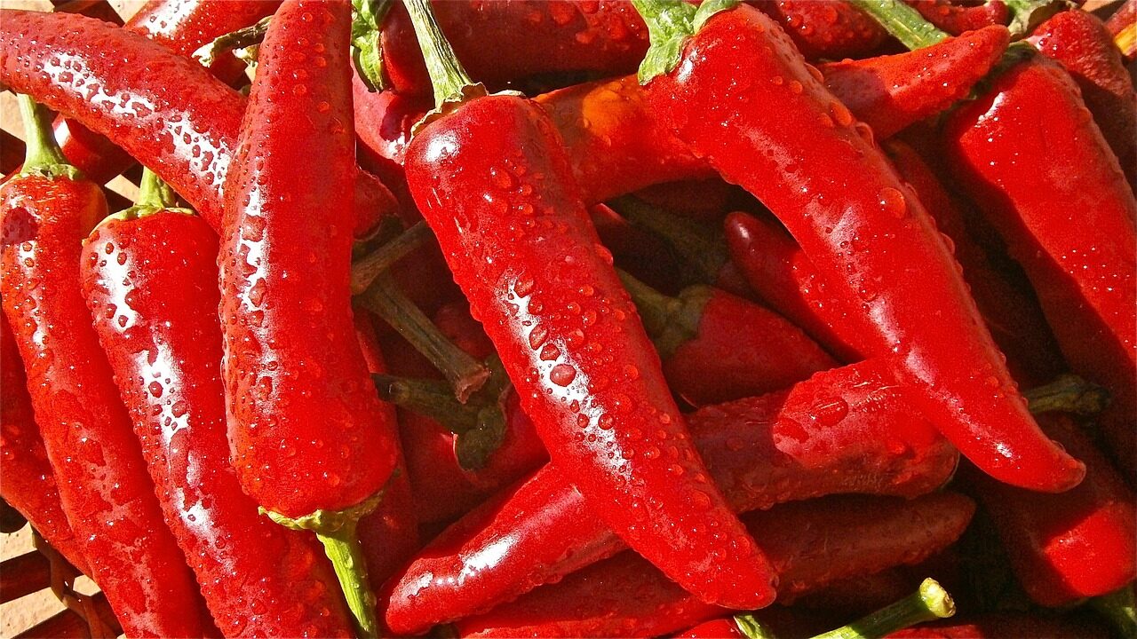 fruit, pepper, vegetable, vegetables, nature, pepper, pepper, vegetable, vegetables, vegetables, vegetables, vegetables, vegetables
