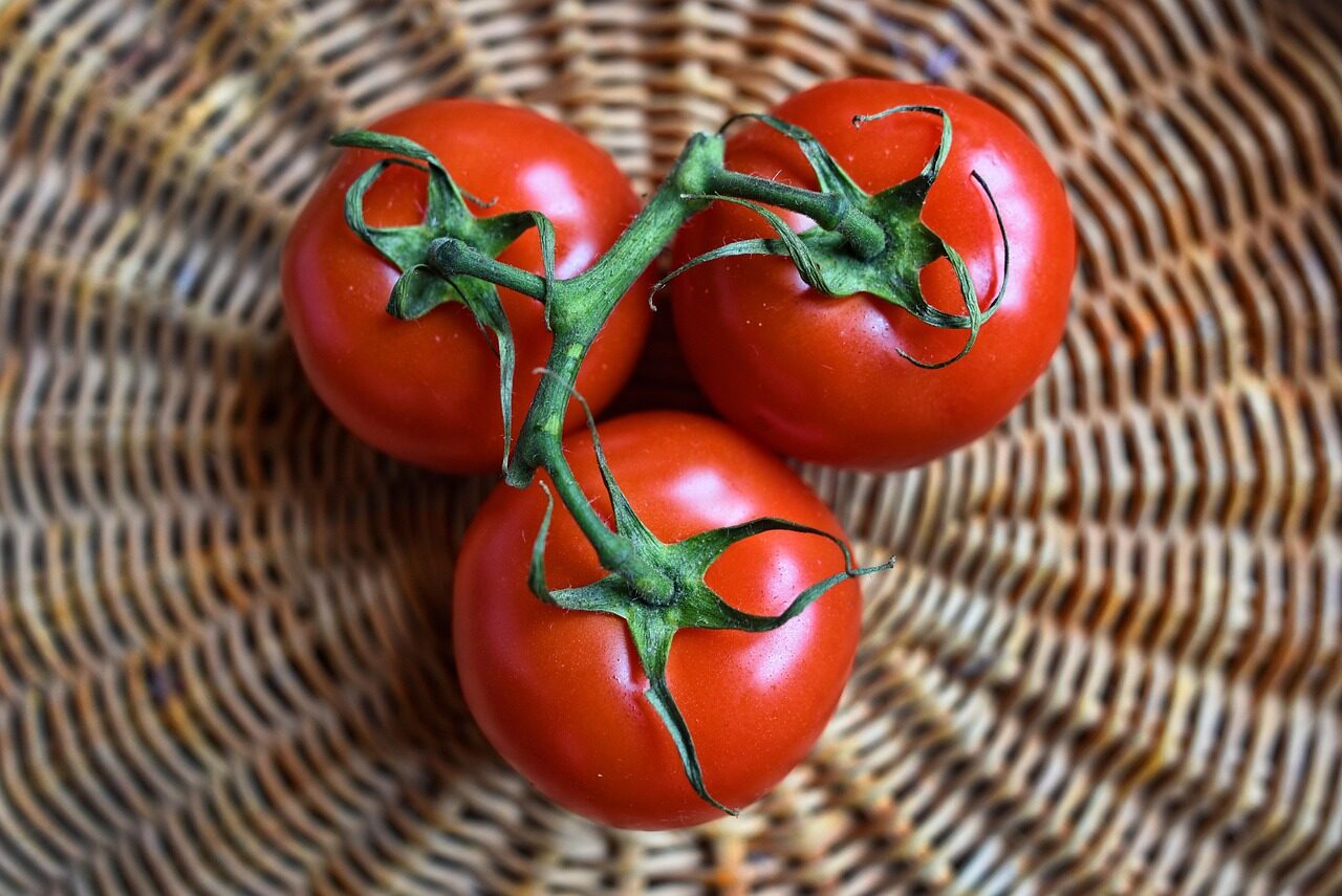 tomatoes, fruits, food, fresh, healthy, organic, ripe, nutrition, vitamins, food photography, tomatoes, tomatoes, tomatoes, tomatoes, tomatoes, food